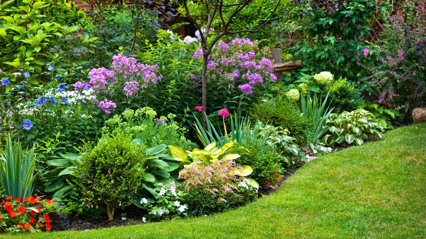 Garden Design project 4 – Legacy Paving & Landscaping