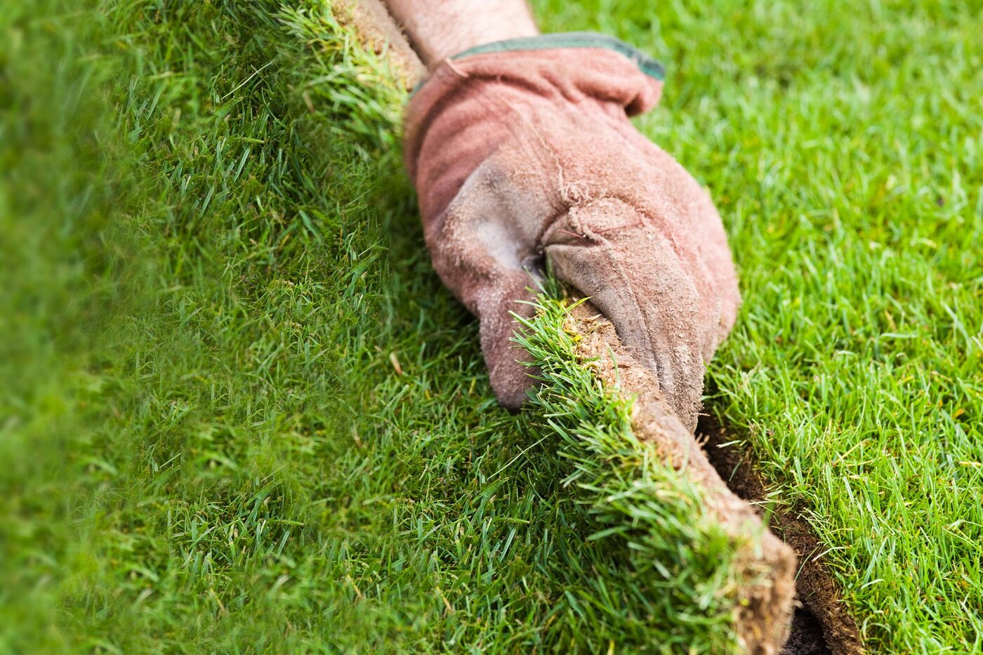 Turfing & Landscaping example by Legacy Paving & Landscaping