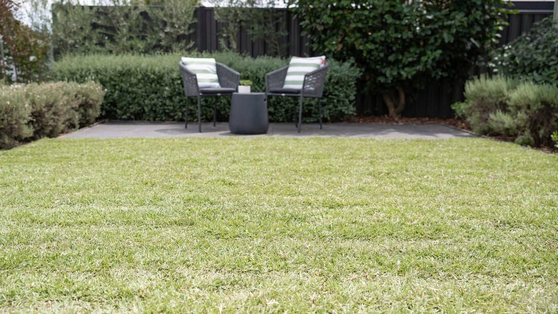 Turfing & Landscaping project 2 – Legacy Paving & Landscaping