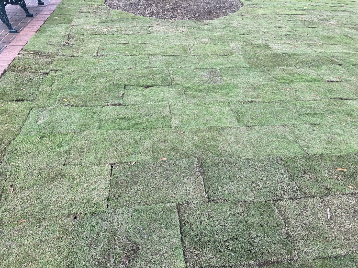 Turfing & Landscaping project 3 – Legacy Paving & Landscaping